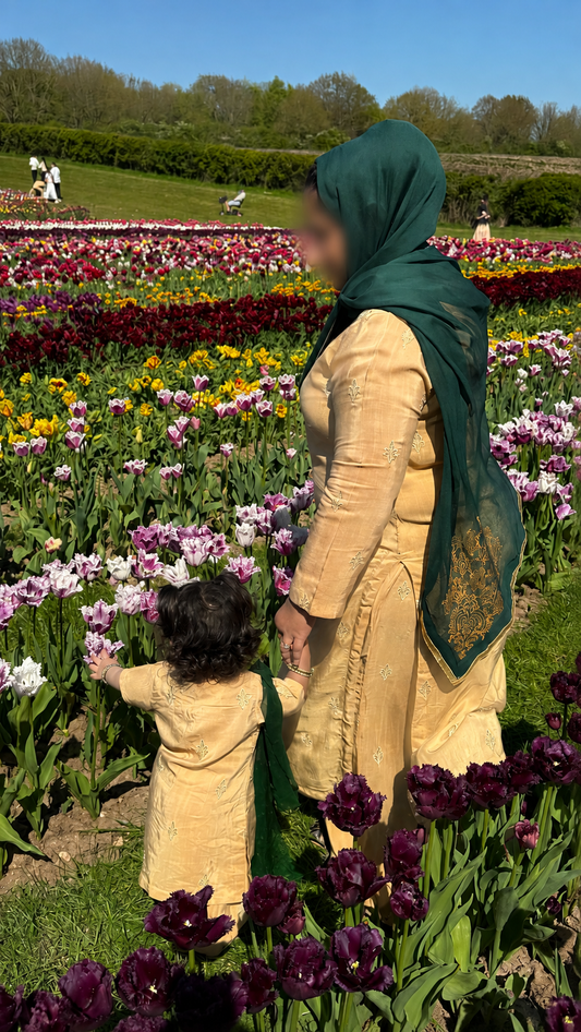 Zareen (زرین)